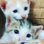 jui joshi - @juijoshi56 - Instagram