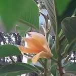 Jui Namjoshi - @juinamjoshi - Instagram