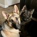Jule Martin - Facebook