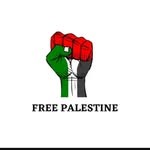 Jule Schmidt - @free_palestin_4_ever - Instagram