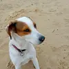 juleschmidt92 - @juleschmidt92 - TikTok