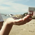 Julee Meltzer - @maine.essence - Instagram