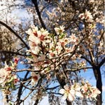 Jules Abbott - @stamboul55 - Instagram