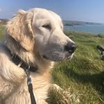 Jules Abbott - @julesabbott_ie - Instagram