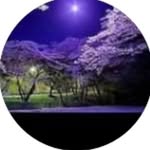 Jules Anderson - @jules.anderson.9859 - Instagram