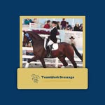 Jules Anderson - @teamworkdressage - Instagram