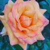 Jules Anderson - @jules.anderson7 - TikTok