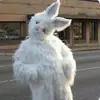 Barbie Rabbit - @julesberry1205 - TikTok