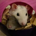 Jules and Berry - @jules_and_berry - Instagram