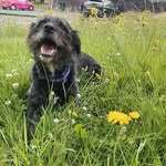 Jules Berry - @bezz3r333 - Instagram