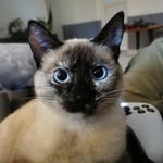 Jules Boscher - @boscherjules - Instagram