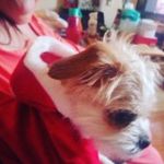 Jules Buckley - @jules.buckley.54 - Instagram