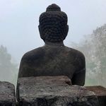 Jules Cohen - @planetpeaceyoga - Instagram