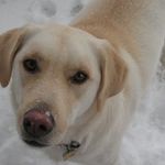 Jules Johnson Cohen - @jules.cohen.528 - Instagram
