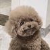 Jules Johnson Cohen - Facebook