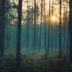 Jules Du Buisson - @julesdubuisson - Instagram