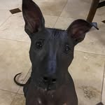 Jules Gonzalez - @jules.vera1969 - Instagram