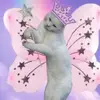 ✿ - @gordonejules - TikTok