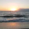 Jules Herbert - @jules.herbert - TikTok