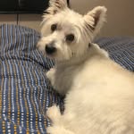 Jules Jackson - @julesjackson83 - Instagram