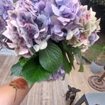 Jules Walker - Facebook