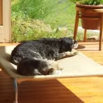 Jules Walker - Facebook