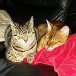 Jules Watkins - @jules.watkins.737 - Instagram