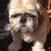 Jules Watkins - Facebook
