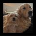 Julie Buchanan - Facebook