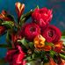 Julie Funki - Facebook