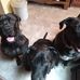 Julie Hunt - Facebook