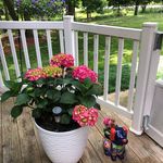 Juli Murphy Putzier - @kjpputz - Instagram