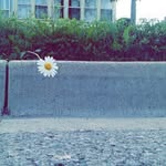 Julia Addison Page - @my_back_up_account_081702 - Instagram