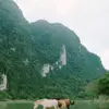 juliaaddison846 - @juliaaddison846 - TikTok