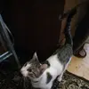 Юлия Афанасьева720 - @juliaafanasieva0 - TikTok