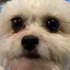 Julia - @juliaaiello_ - TikTok
