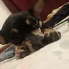 Julia Aispuro - @julia.chuchito - TikTok