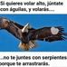 Julia Alcala - Facebook