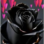 Julia Alderete - Facebook