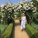 Julia Allan - @julia.allan.543 - Instagram