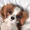 Julie Aragon - @juliearagon2 - TikTok