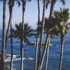 julia.arnett - @julia.arnett - TikTok