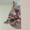 Juliaarth - @biutigel20 - TikTok