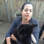 @juliaavina1977gmailcom - Instagram
