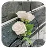JuliaAyers - @user4509660066561 - TikTok