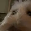 julia - @juliabachus - TikTok