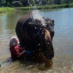 Julia Baggett Mosley - @jutemos - Instagram
