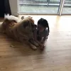 Julie Bain - @lily.zavaroni - TikTok