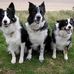 Julia Baines - Facebook