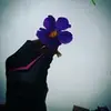 juliasb18 - @juliabales - TikTok